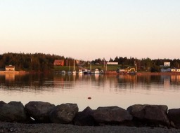 club across harbour with excavator