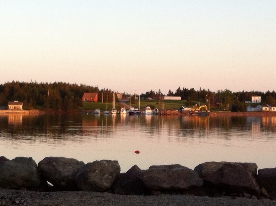 club across harbour with excavator
